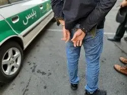 شرور مسلح در جنوب تهران بازداشت شد