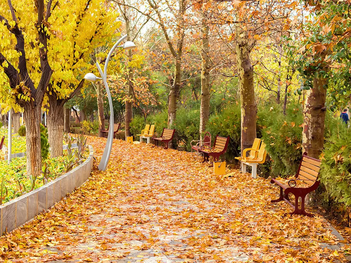  ۵ مقصد جذاب برای تهرانگردی در روزهای پاییزی