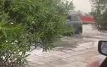 ببینید| بارش سنگین باران در بندرعباس