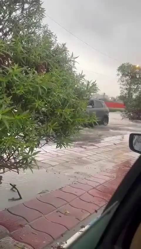 ببینید| بارش سنگین باران در بندرعباس