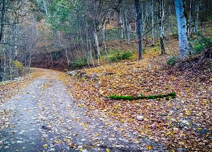 مسدود،مراتع،شهرستان،اطلاع،دهياران،ثانوي