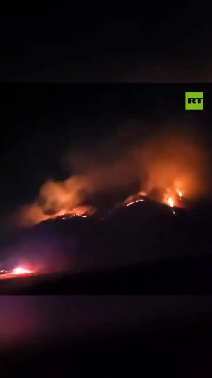 تسنيم،آناتولي،طعمه