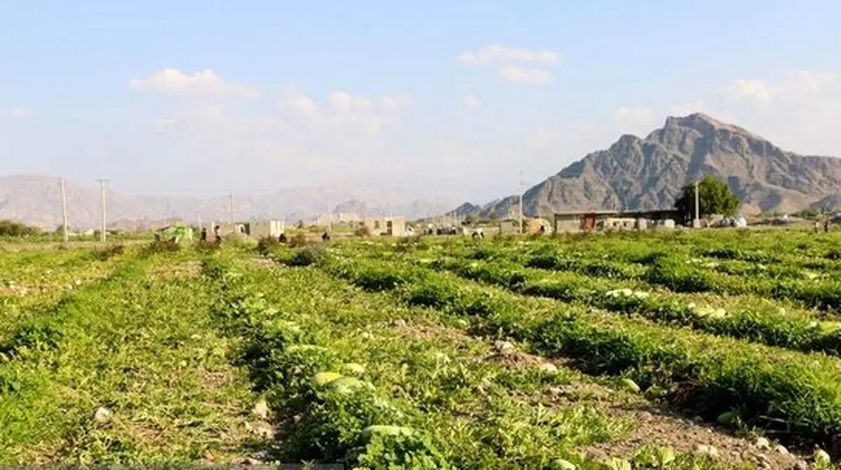 استان کرمان با مشکل تغییرات اقلیمی مواجه است / کشاورزی حمایت شود