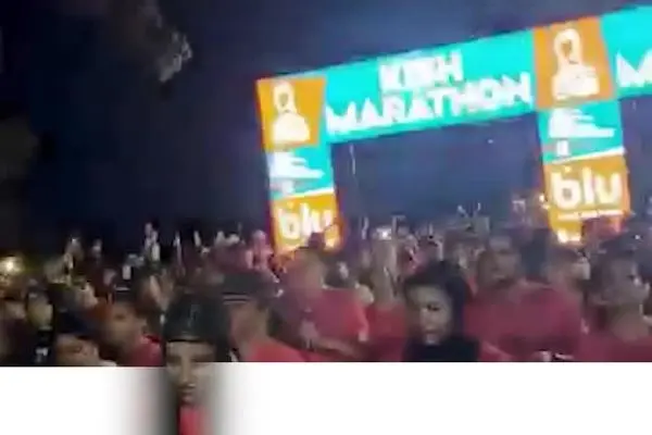 ببینید| روایتی پنهان از دو مارتن در جزیره کیش