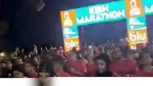 ببینید| روایتی پنهان از دو مارتن در جزیره کیش