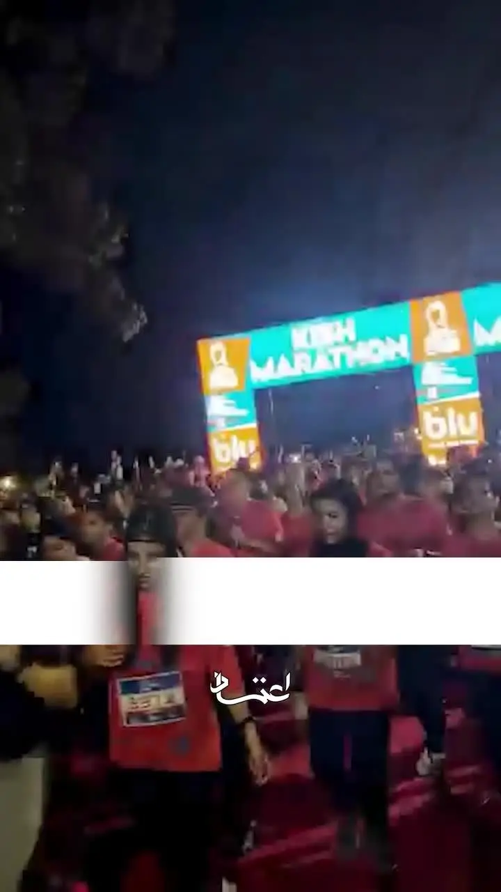 ببینید| روایتی پنهان از دو مارتن در جزیره کیش