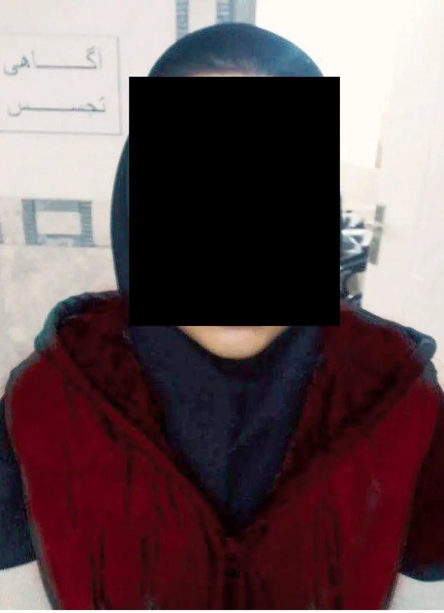 شهربازي،زن،پارك،گوشواره،ربود،دزد،طلايي،شهريور،سرقت،بهداشتي،د ...