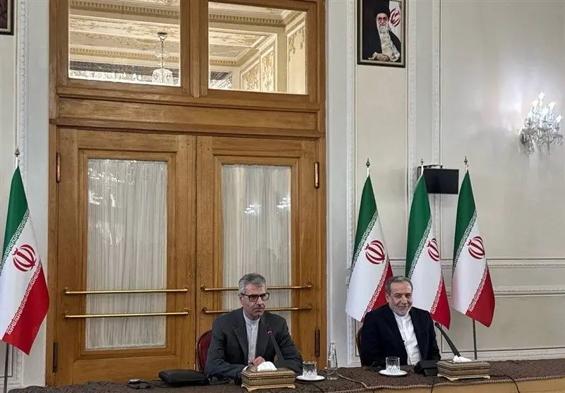 كشورهاي،عراقچي،سفرا،زياده