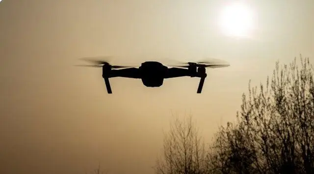 رصد حریم‌ پایتخت با ریزپرنده‌ها