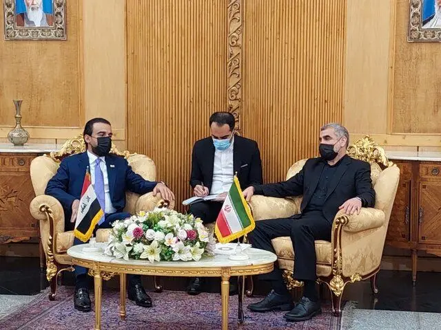 رئیس مجلس عراق وارد تهران شد