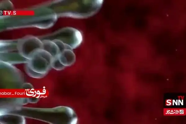 ببینید| تفاوت علائم بیماری آنفولانزا با عوارض آلودگی هوا چیست؟