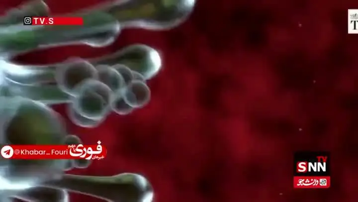 ببینید| تفاوت علائم بیماری آنفولانزا با عوارض آلودگی هوا چیست؟