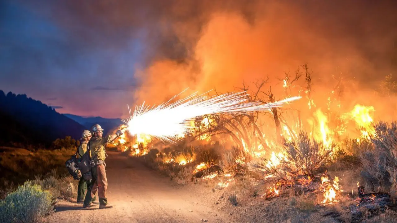عکس روز نشنال جئوگرافیک، مبارزه آتشین با آتش