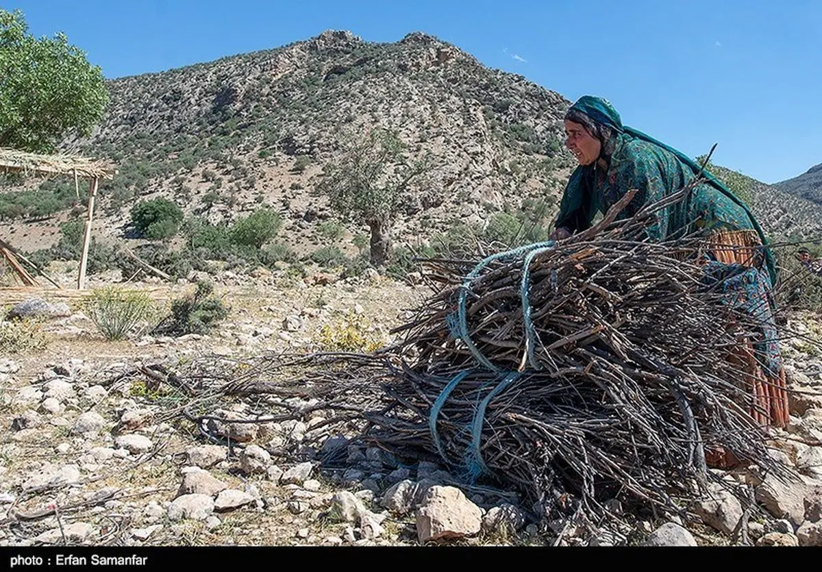 محرومیت 3 میلیون و 370 هزار خانوار روستایی و عشایر از هرگونه بیمه بازنشستگی