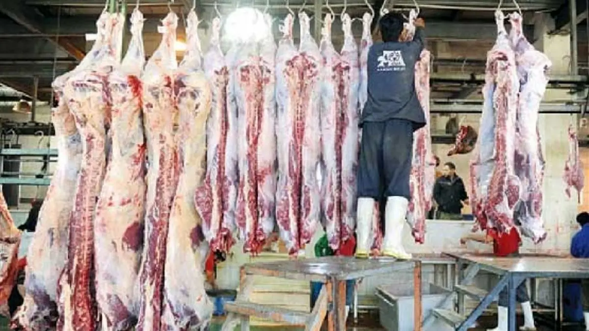 افزایش 40 درصدی قیمت گوشت گاوی نسبت به سال 96