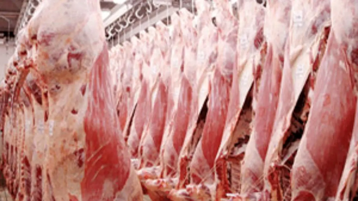 ثبات نرخ گوشت در بازار/ قاچاق دام زنده به راحتی از مرزها صورت می‌گیرد