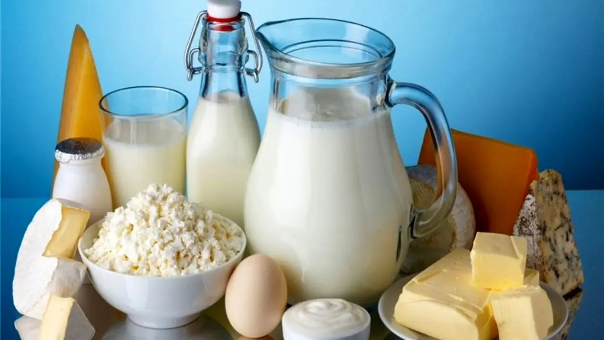 تأملی بر وضعیت صنعت شیر و محصولات لبنی در ایران / مناقشه میان دامداری‌ها و تولیدکنندگان محصولات لبنی