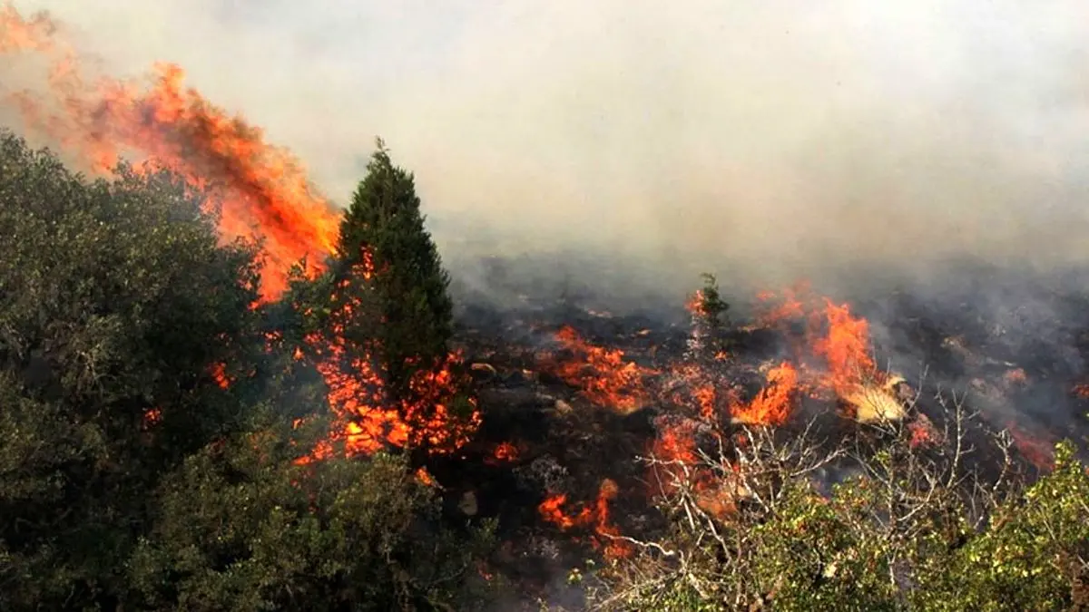 آتش‌سوزی جنگل‌ها با تغییرات آب و هوایی ارتباط دارد