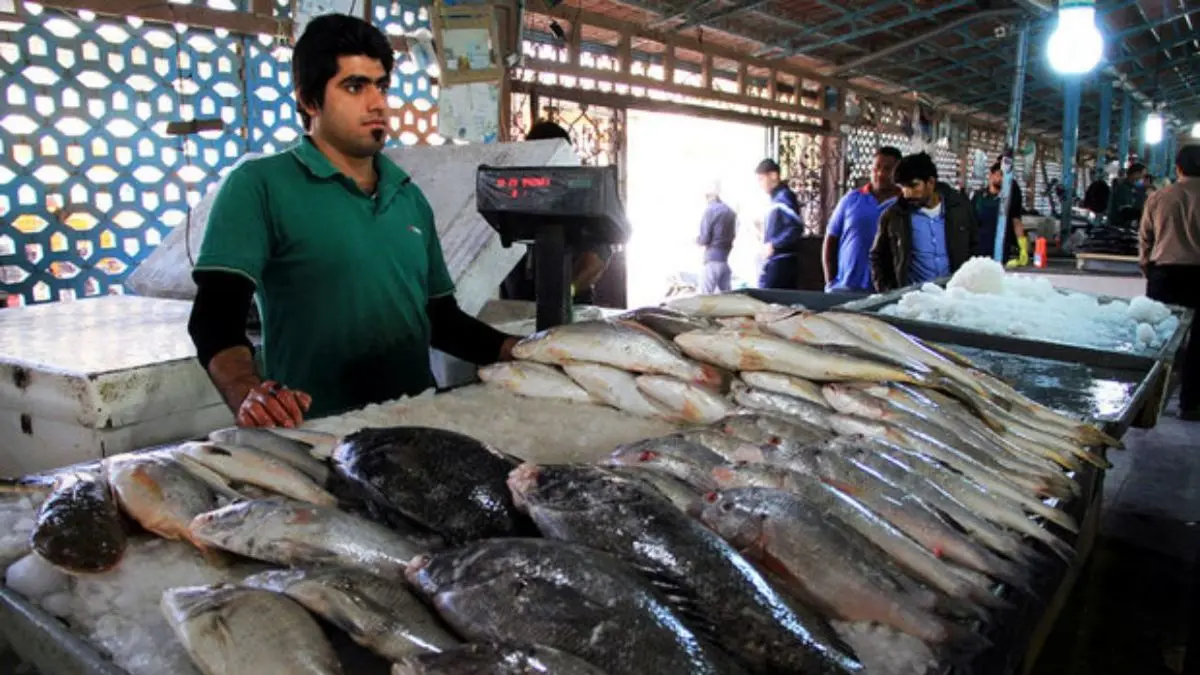 عرضه مستقیم ماهی در بازار بندرعباس