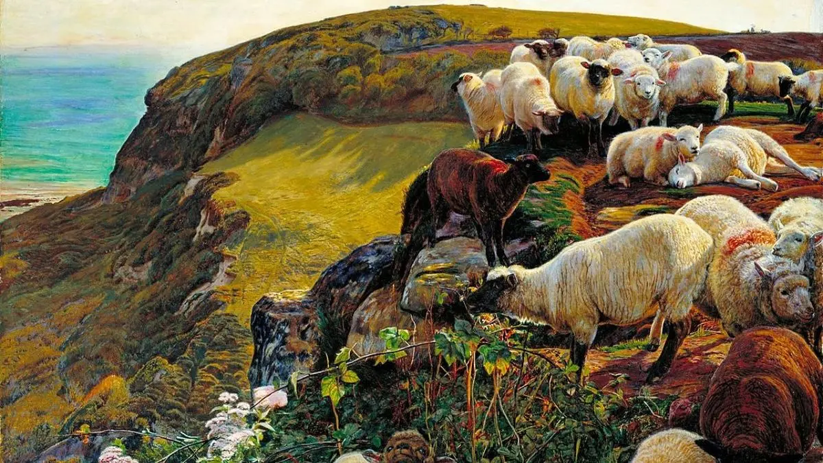 هنر روز، چرای گوسفندان