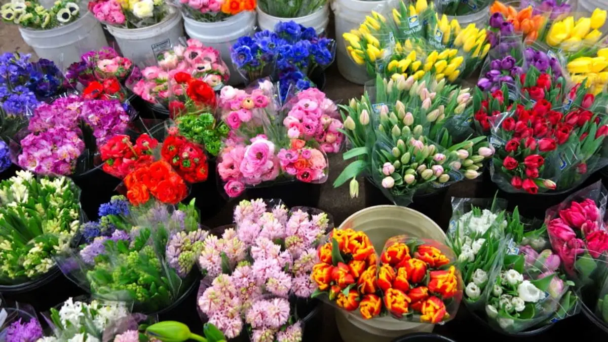 قیمت انواع گل در بازار