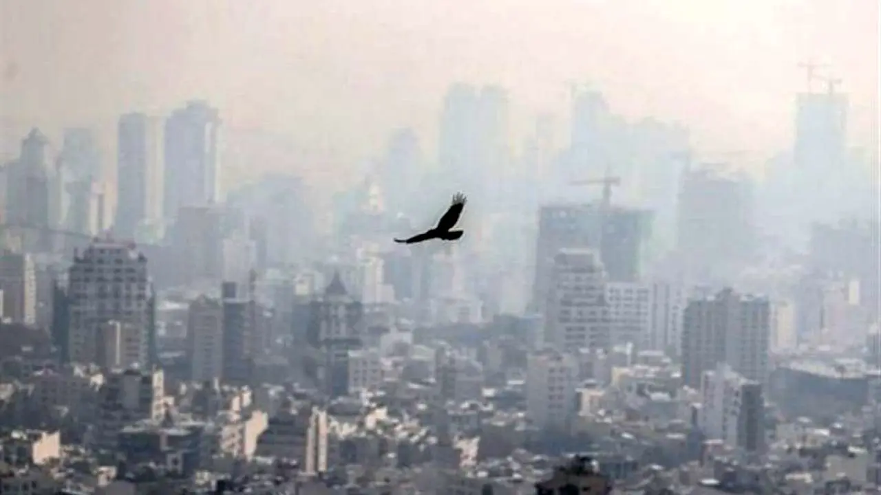 هوای شهرهای بزرگ آلوده می‌شود