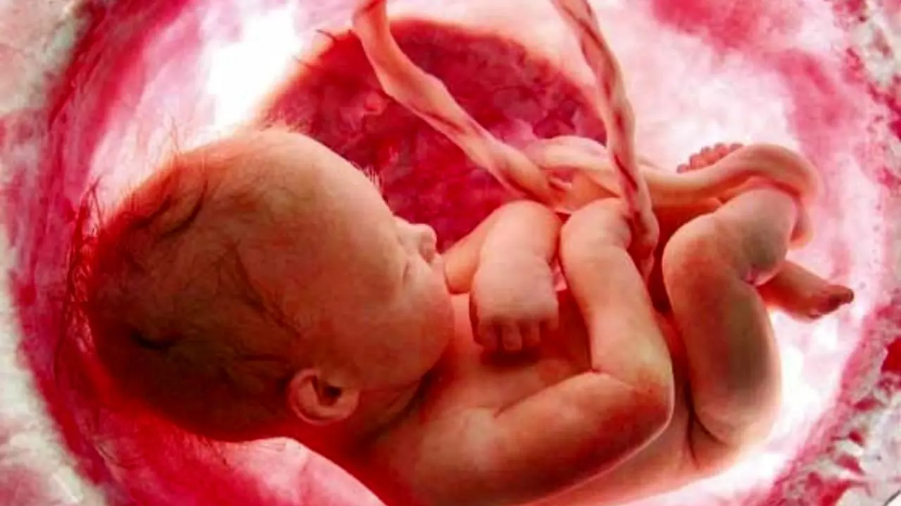 دولت چین دستور توقف پروژه تولد نوزادان مهندسی ژنتیکی صادر کرد