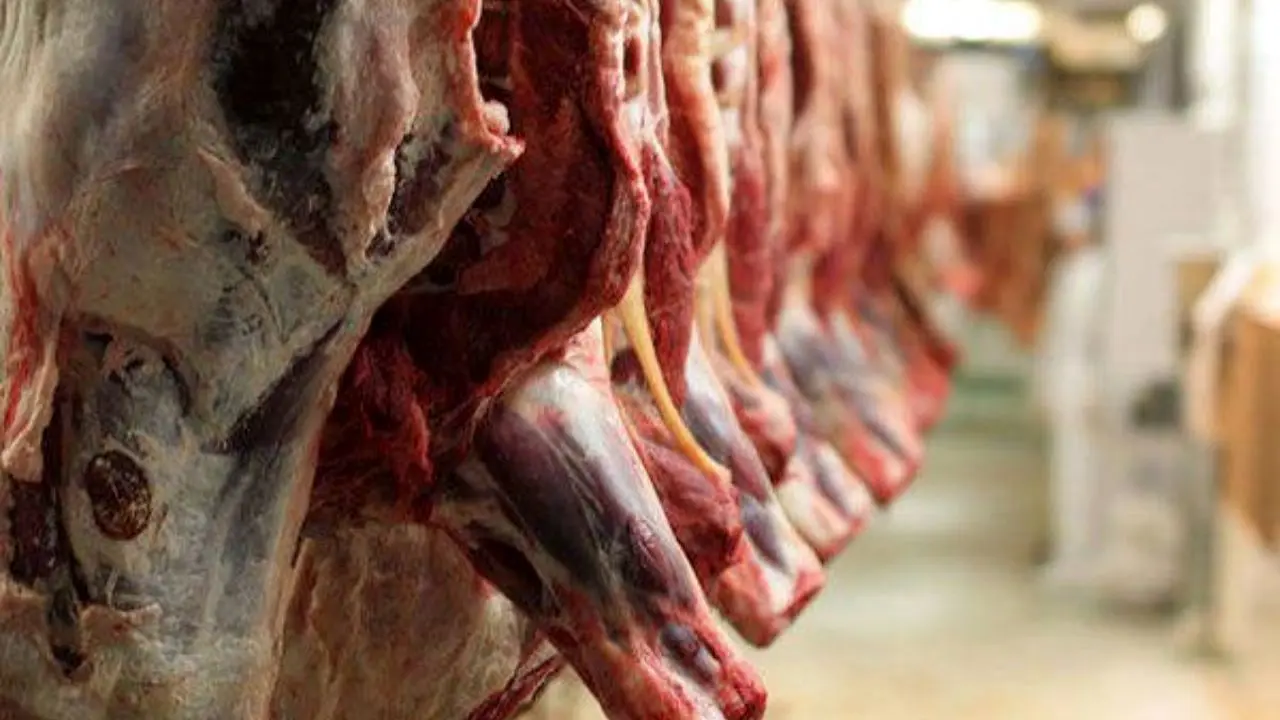 تابستان امسال 99 هزار تن گوشت قرمز تولید شد
