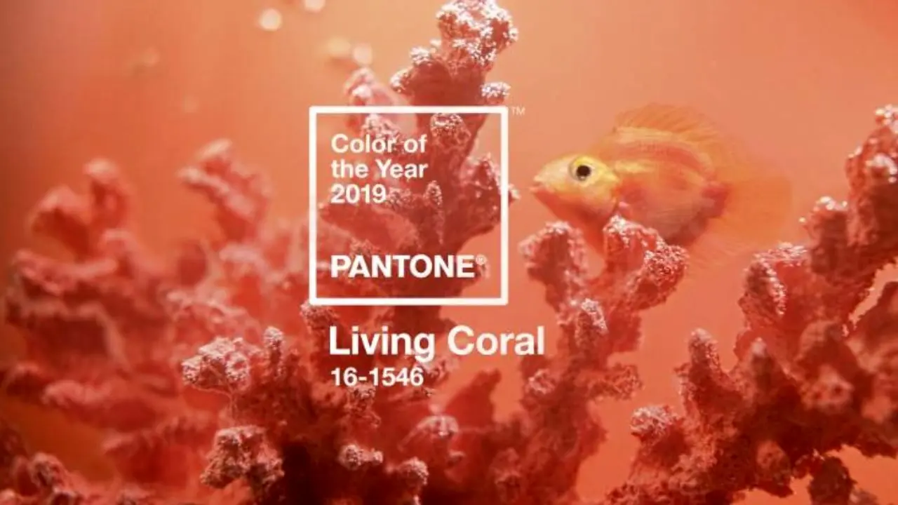 رنگ سال 2019 مشخص شد، مرجانی