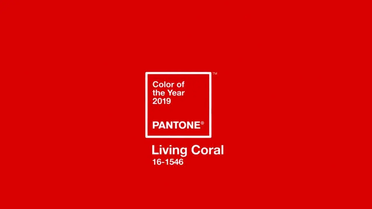 چه طیف رنگی مناسب رنگ سال 2019 است؟