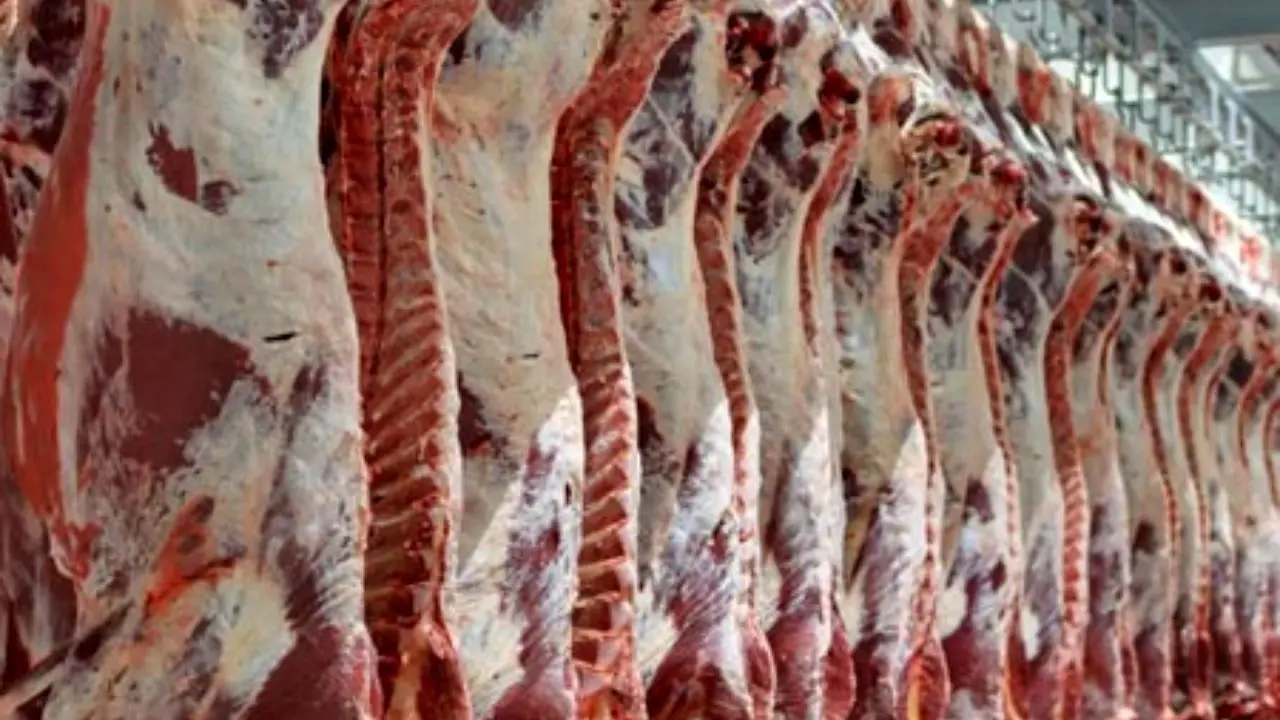 گران شدن قیمت گوشت قرمز در بازار