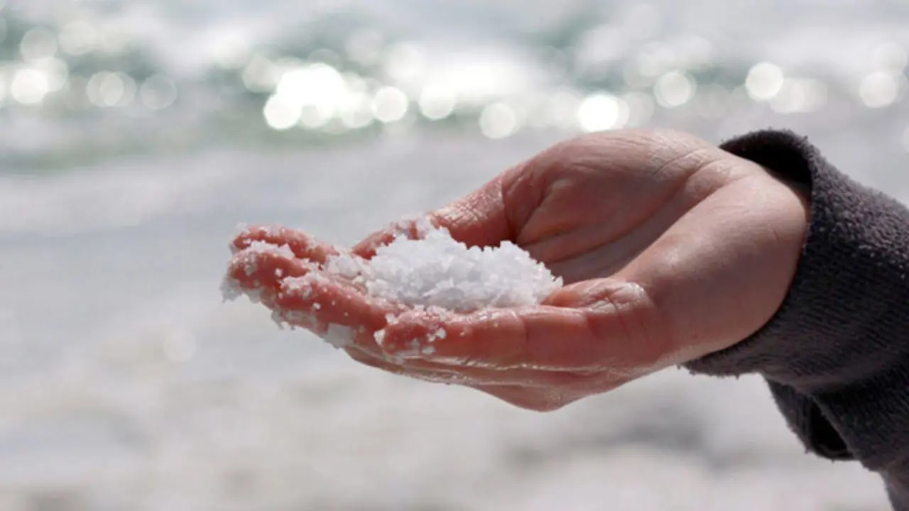 نمک صادراتی صنعتی و نمک دریا نخرید
