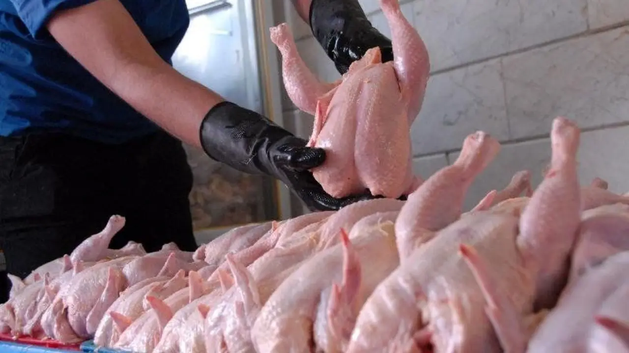 هیچ مشکلی در تامین گوشت مرغ در کشور وجود ندارد