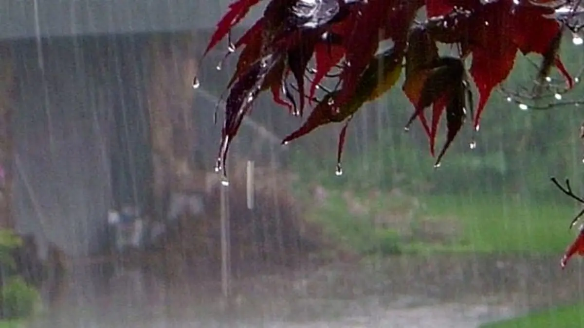 ایران از چهارشنبه بارانی می‌شود