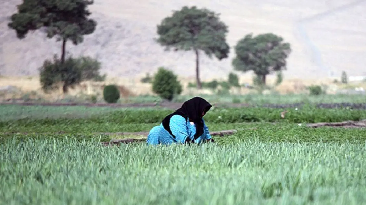 مادری زنان کرمانشاهی برای زمین