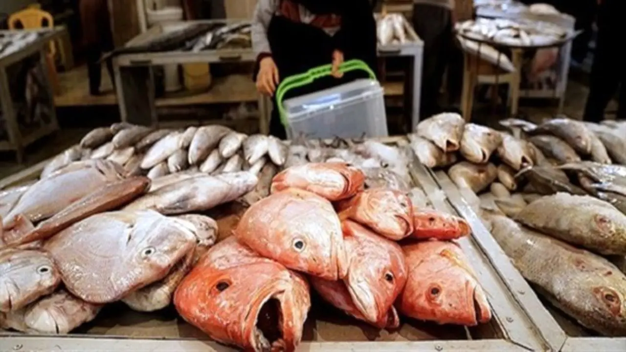 نرخ انواع ماهی در آستانه یلدا/ هرکیلو ماهی سفید 58 هزار تومان + جدول