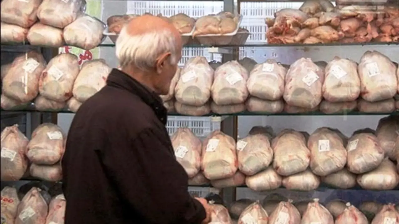 100 تن مرغ منجمد دولتی روزانه در تهران عرضه می‌شود