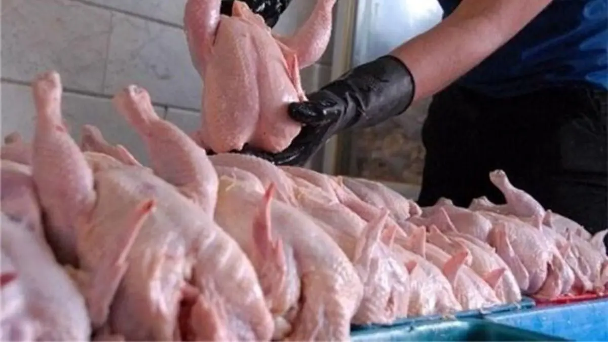 قیمت مرغ در برخی استان ها کنترل نمی‌شود