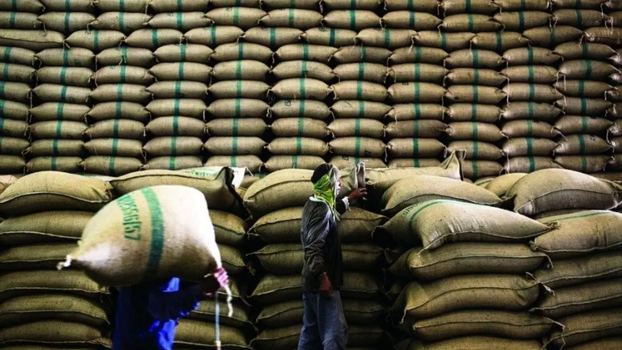 مجوز صادرات برنج آمریکا به چین صادر شد