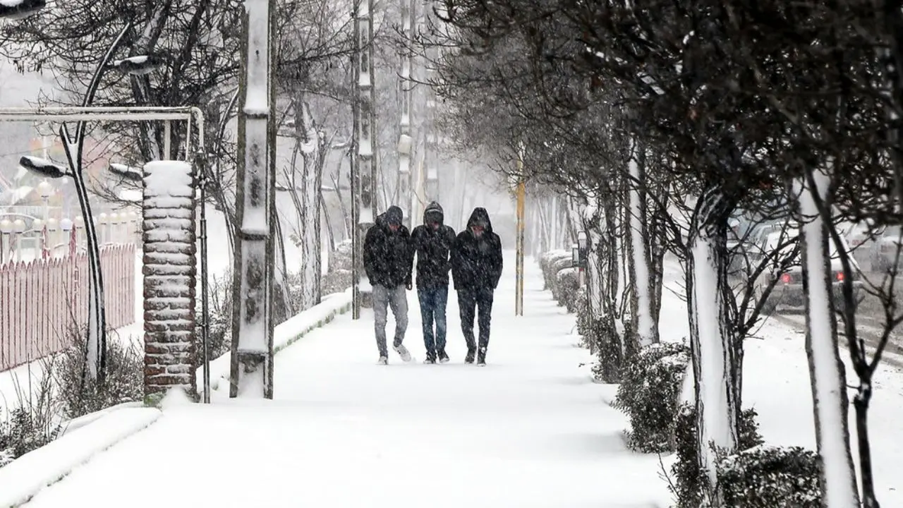 بارش اولین برف زمستانی در اردبیل + عکس