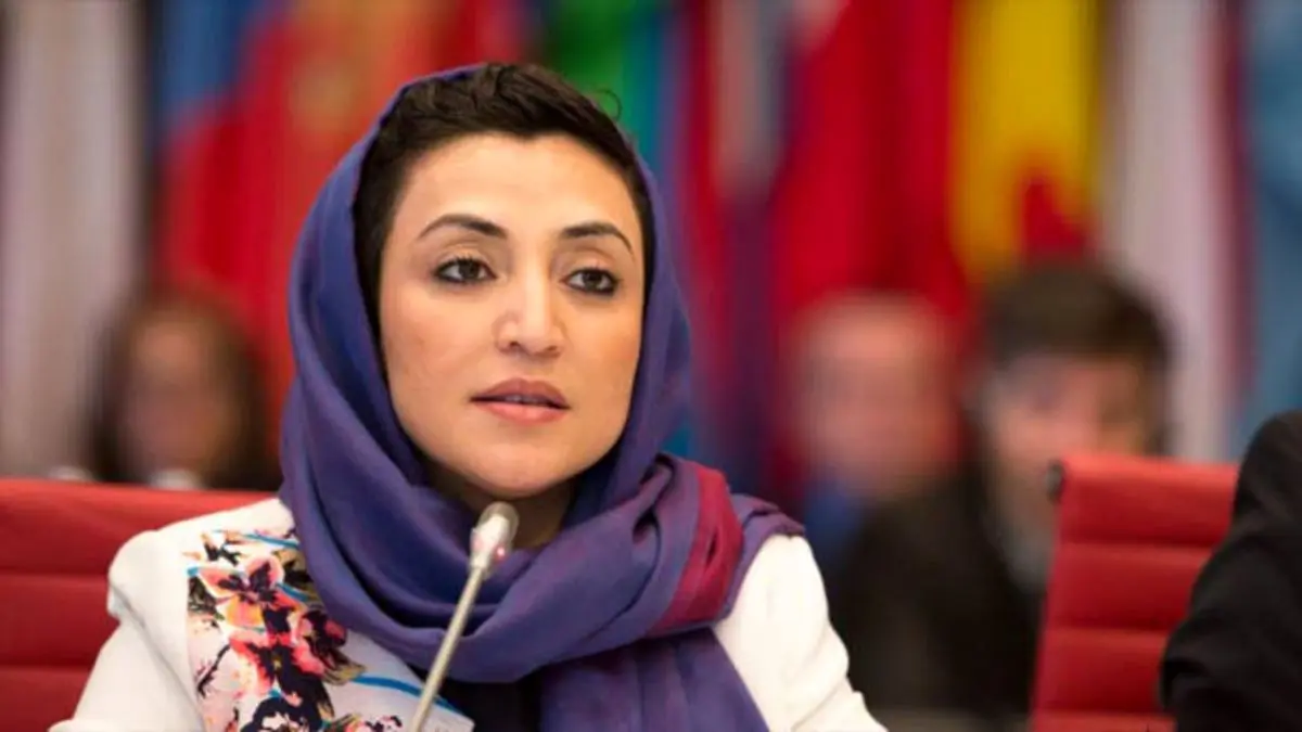 نماینده جدید افغانستان در سازمان ملل منصوب شد