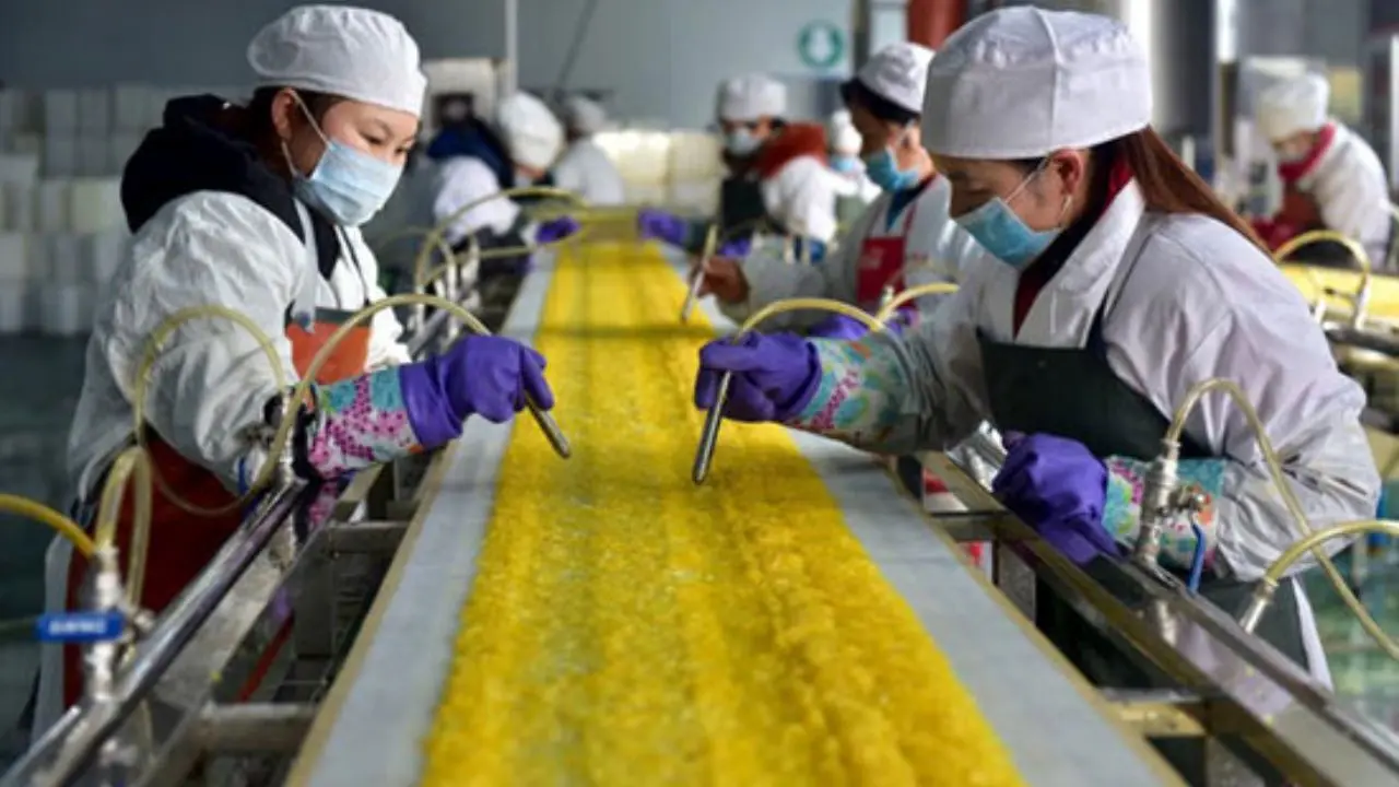 آب رفتن فعالیت کارخانجات چین/چالش چین در خاتمه دادن به جنگ تجاری