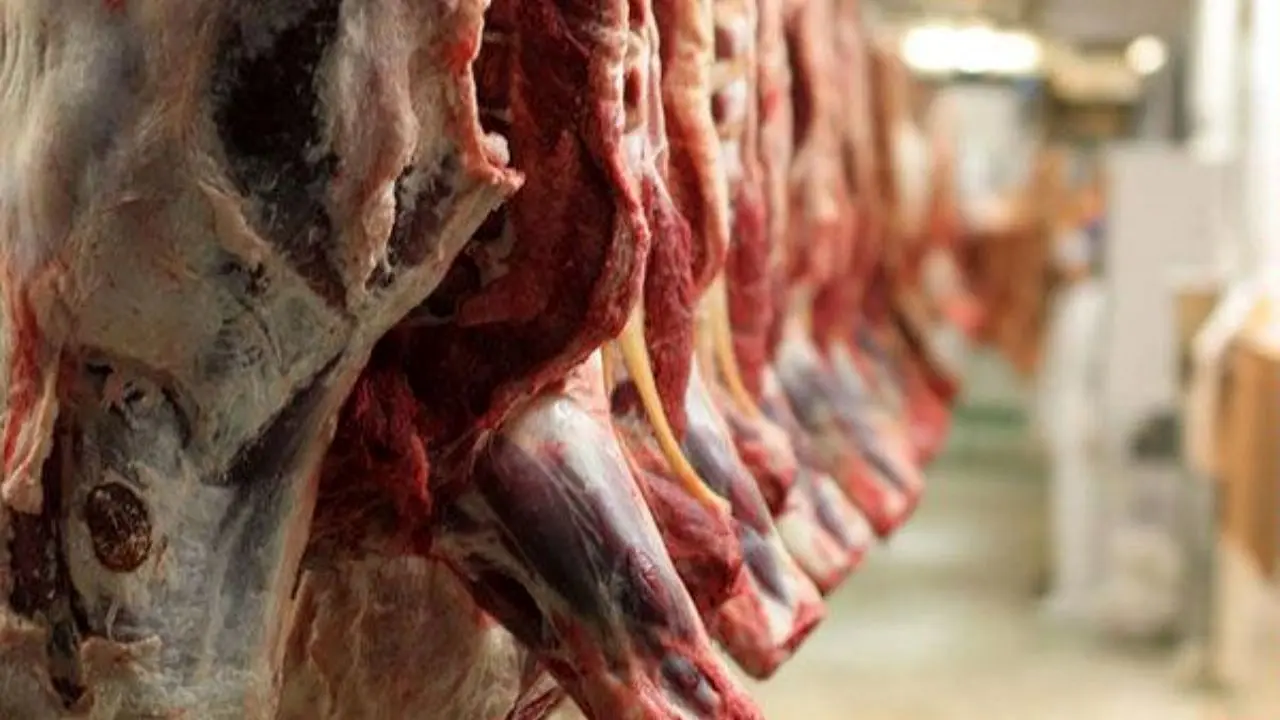 علت اصلی گرانی گوشت، عرضه نامناسب در خرده فروشی ها