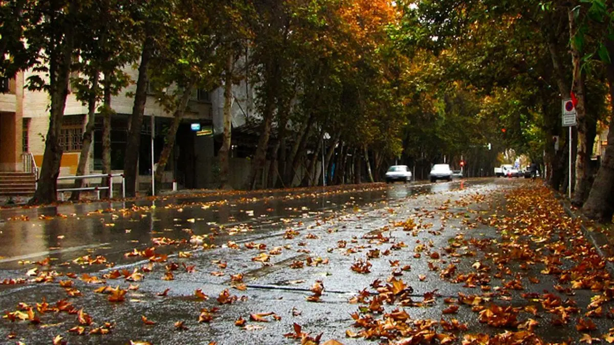 خیابان ولیعصر (عج) تهران در فهرست موقت یونسکو قرار گرفت