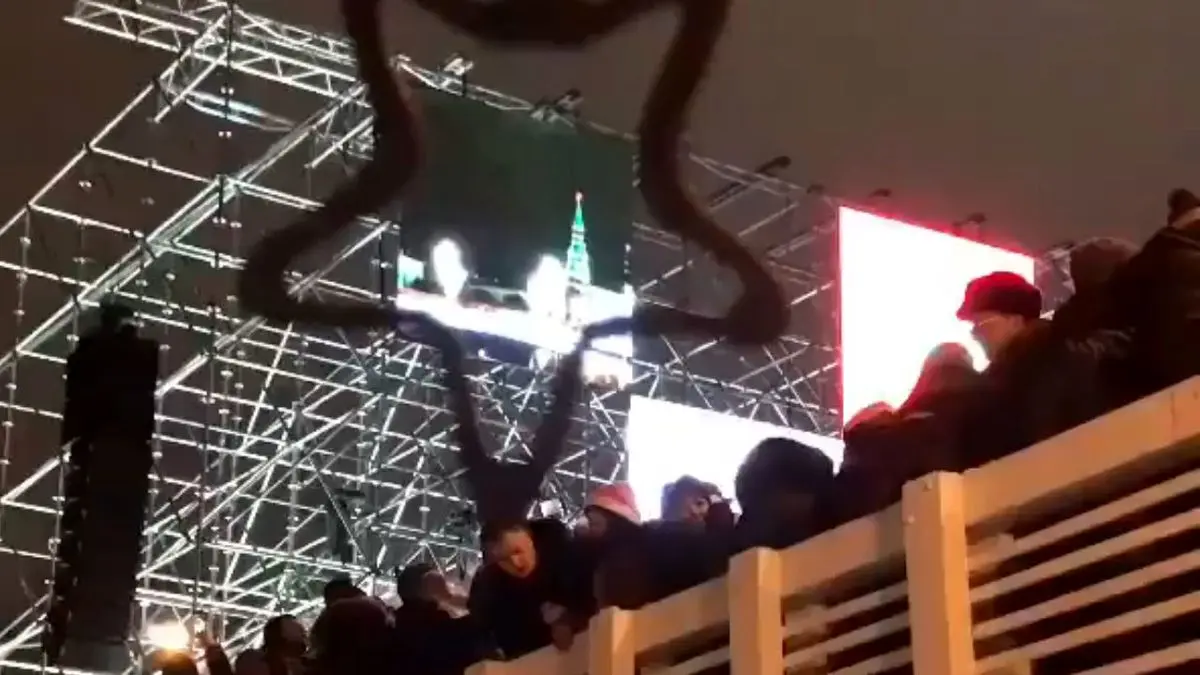 ریزش پل چوبی در مسکو+ویدئو