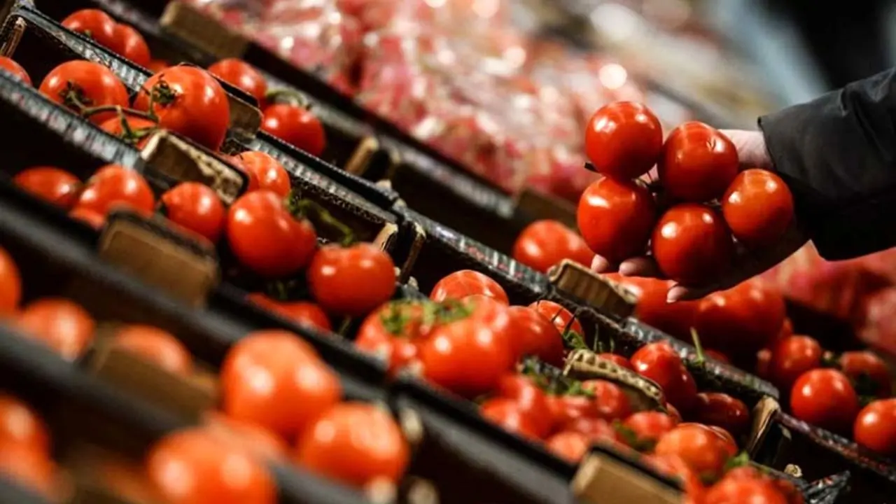 کشف 44 تن گوجه‌فرنگی قاچاق