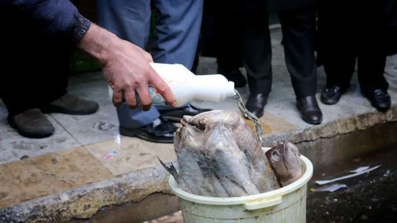 ماهی های فاسد و گوشت های تاریخ مصرف گذشته معدوم شدند