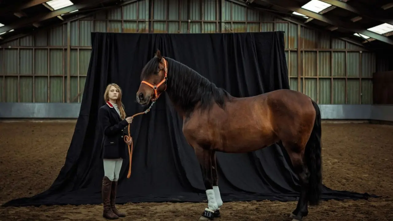 عکس روز نشنال جئوگرافیک، دختر سوارکار با اسب خود