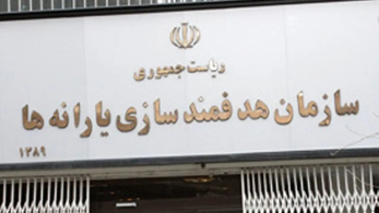 ارایه مستندات پرداخت یارانه به ایرانیان خارج از کشور توسط نماینده مجلس