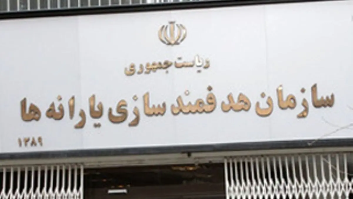 ارایه مستندات پرداخت یارانه به ایرانیان خارج از کشور توسط نماینده مجلس